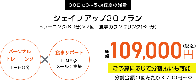 シェイプアップ30プラン