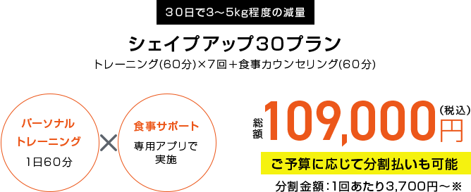 シェイプアップ30プラン
