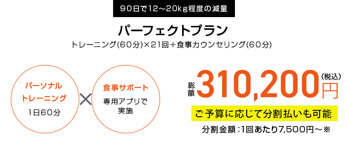 パーフェクトプラン