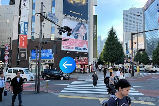 横断歩道を渡り、左に曲がります。