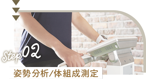 姿勢分析/体組成測定 