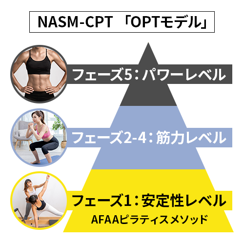 OPTモデル