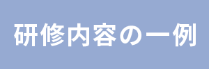 研修内容の一例